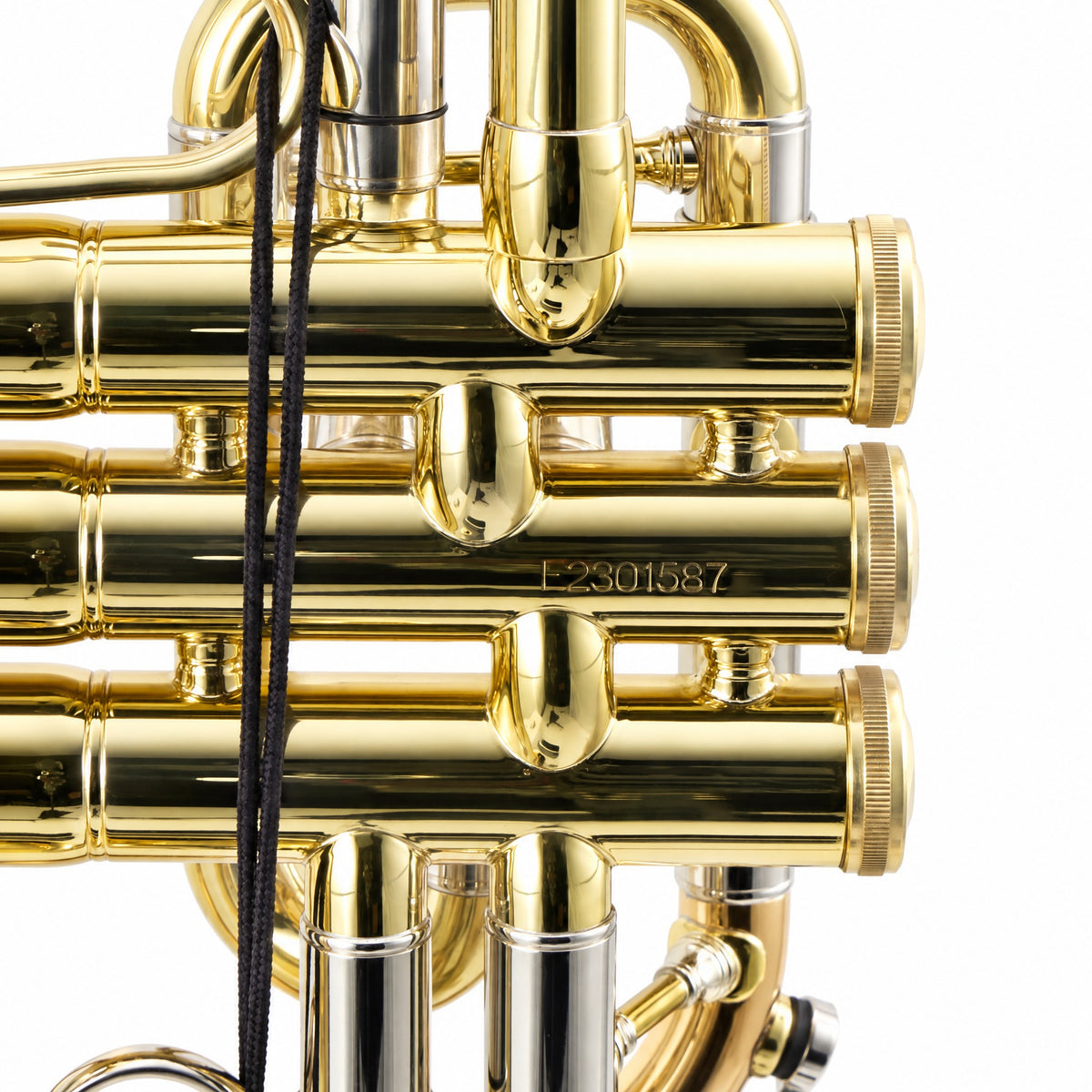 S.E. Shires A16 Student Bb Cornet in Clear Lacquer