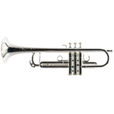 S.E. Shires Model Q10RS Q-Series Professional Bb Trumpet SN Q3364