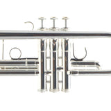 S.E. Shires Model Q11RS Q-Series Professional C Trumpet BRAND NEW