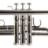 S.E. Shires Model Q11RS Q-Series Professional C Trumpet MINT CONDITION