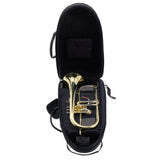 S.E. Shires Model Q19 Q-Series Professional Flugelhorn BRAND NEW