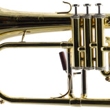 S.E. Shires Model Q19 Q-Series Professional Flugelhorn BRAND NEW