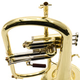 S.E. Shires Model Q19 Q-Series Professional Flugelhorn SN Q21376