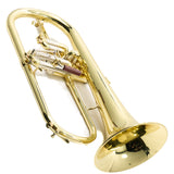 S.E. Shires Model Q19 Q-Series Professional Flugelhorn SN Q21376