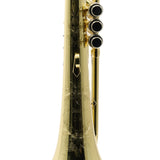 S.E. Shires Model Q19 Q-Series Professional Flugelhorn SN Q21376