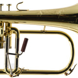 S.E. Shires Model Q19 Q-Series Professional Flugelhorn SN Q21376