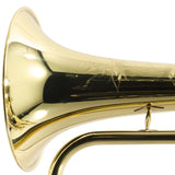 S.E. Shires Model Q19 Q-Series Professional Flugelhorn SN Q21376