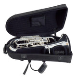 S.E. Shires Model Q40TS Q-Series Compensating Euphonium SN 9305