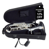 S.E. Shires Model Q40TS Q-Series Compensating Euphonium SN 9305 OPEN BOX