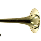 S.E. Shires Model QALESSI Q-Series 'Joe Alessi' Tenor Trombone SN Q19893 OPEN BOX