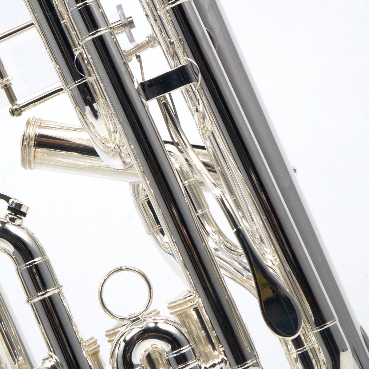 S.E. Shires Model SEUSC-TS Custom Professional Euphonium with Trigger