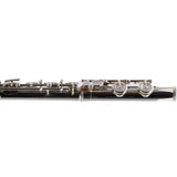 Selmer Model SFL301 Closed Hole Student Flute