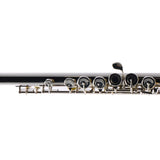 Selmer Model SFL301 Closed Hole Student Flute