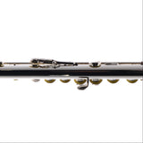 Selmer Model SFL301 Closed Hole Student Flute