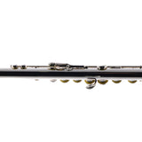 Selmer Model SFL301 Closed Hole Student Flute