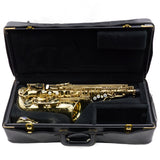 Selmer Paris Model 62J Series III Professional Alto Saxophone