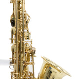 Selmer Paris Super Action 80 Series II Alto Saxophone SN 586802 NICE