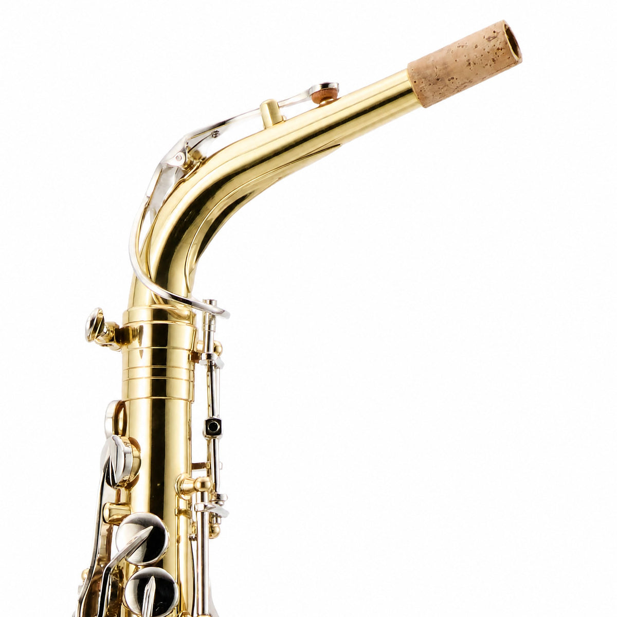 Selmer SAS201 Student Alto Saxophone in Clear Lacquer