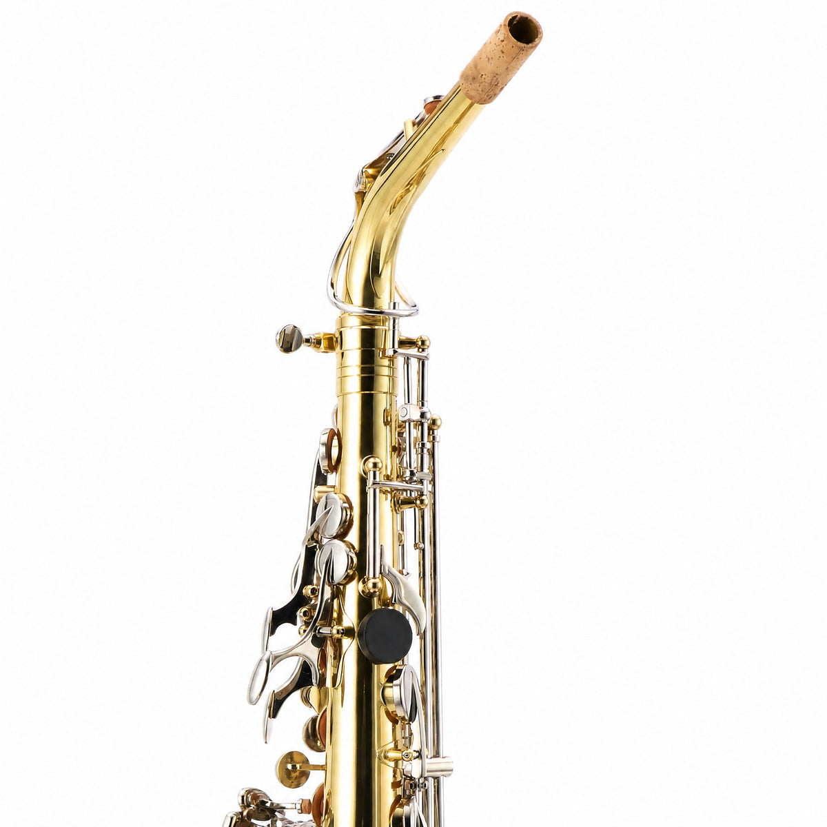 Selmer SAS201 Student Alto Saxophone in Clear Lacquer