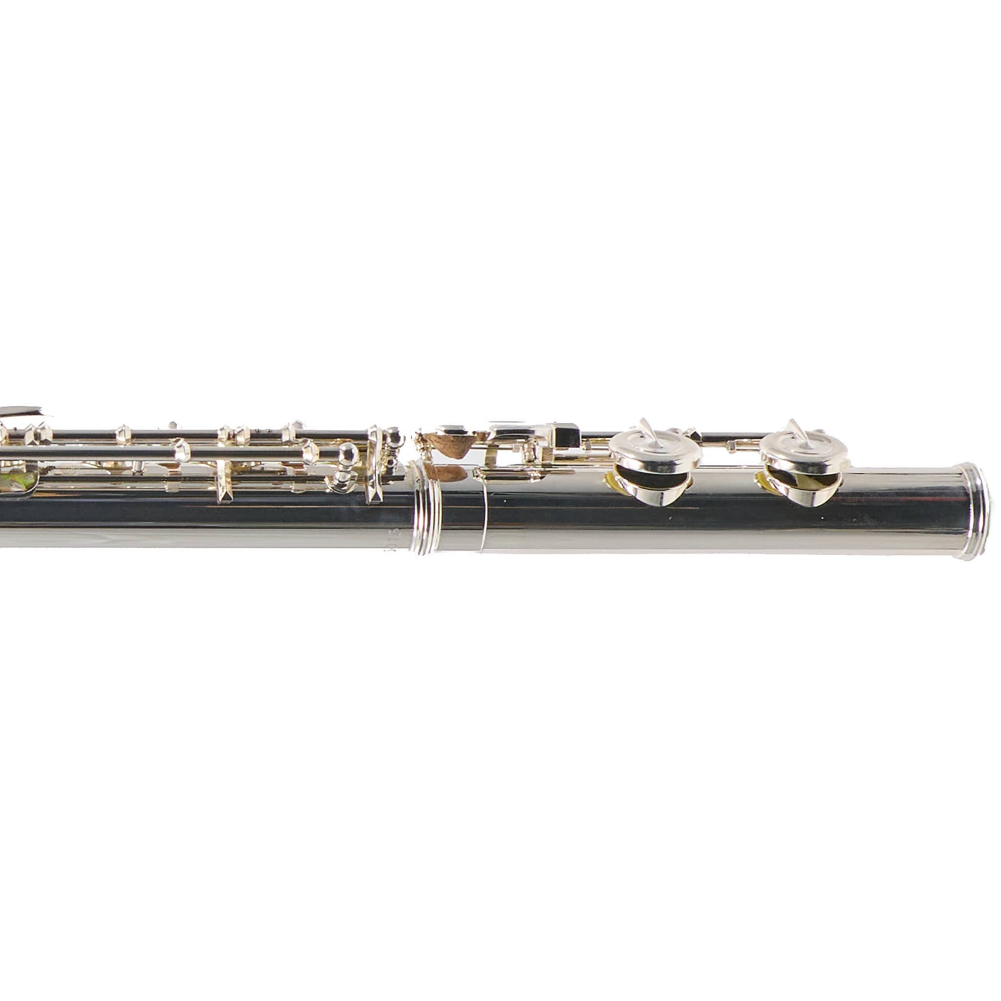 Selmer SFL301 Closed Hole Student Flute
