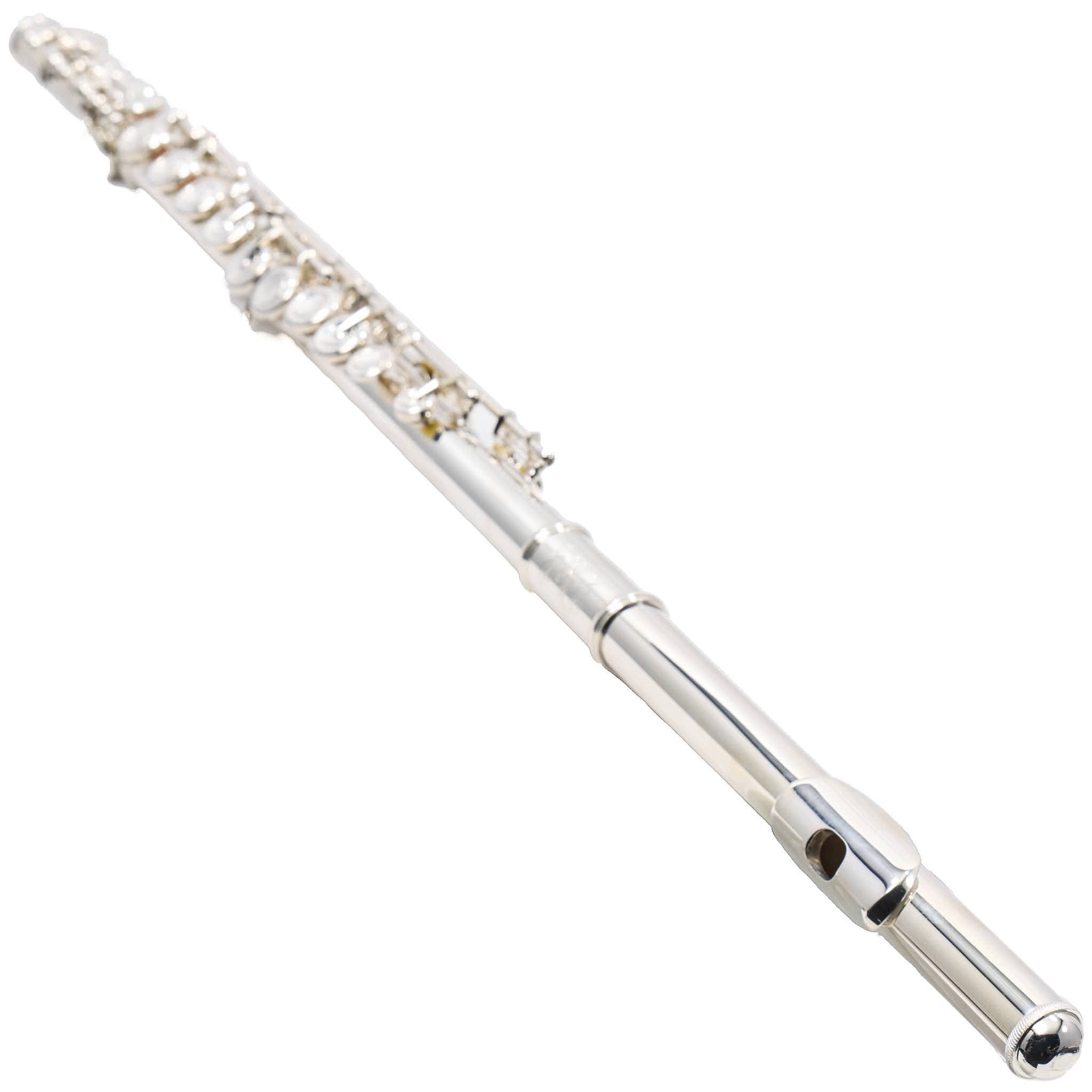 Selmer SFL301 Closed Hole Student Flute