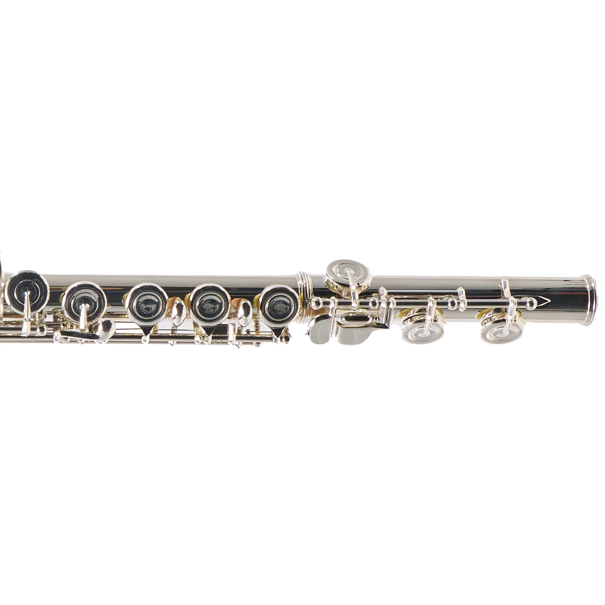 Selmer SFL301 Closed Hole Student Flute
