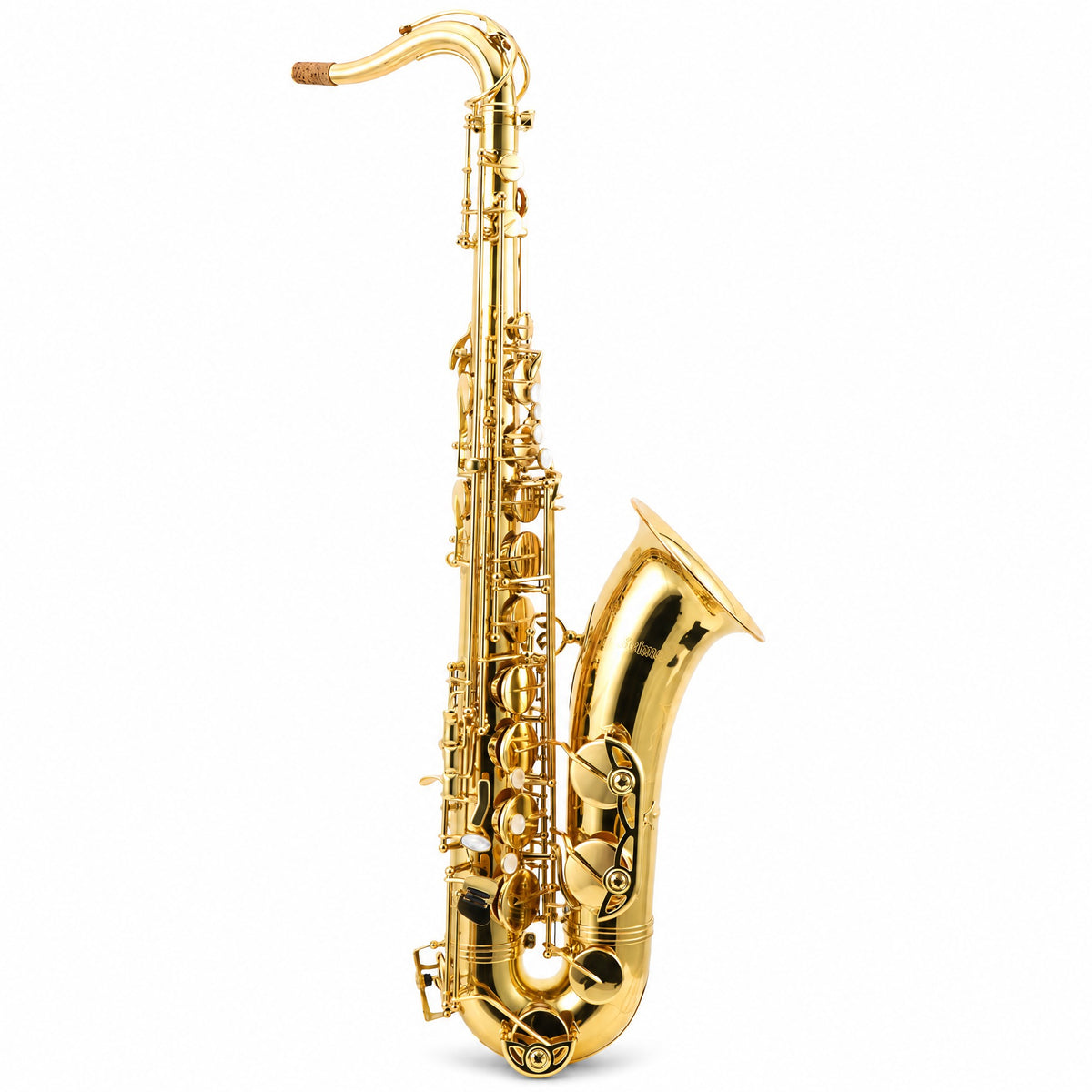 Selmer STS411 Intermediate Bb Tenor Saxophone in Gold Lacquer