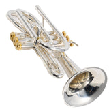 Stomvi Forte Professional Cornet SN 0013682 EXCELLENT