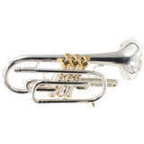 Stomvi Forte Professional Cornet SN 0013682 EXCELLENT
