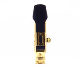 Theo Wanne EARTH2 Gold 7 Alto Saxophone Mouthpiece OPEN BOX
