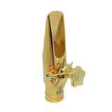 Theo Wanne GAIA3 Gold 6 Alto Saxophone Mouthpiece