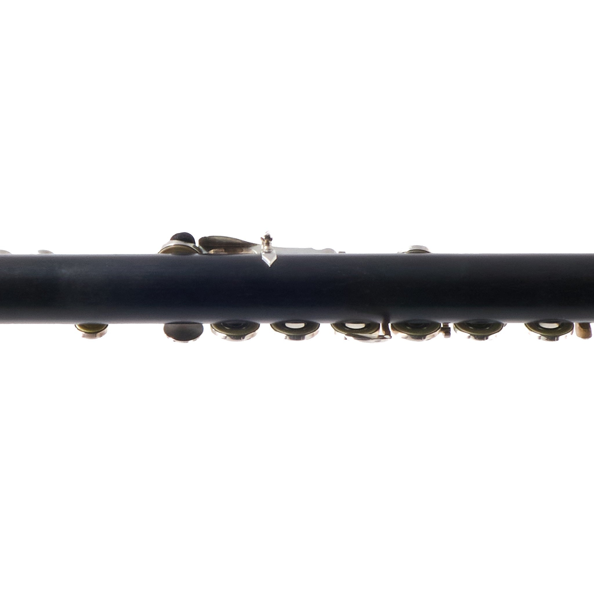 Verne Q. Powell Custom Grenadilla Wood Flute