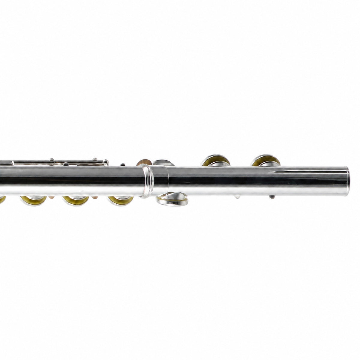 William S. Haynes AF480-CO 'Amadeus' Student Concert Flute in Silver Plate