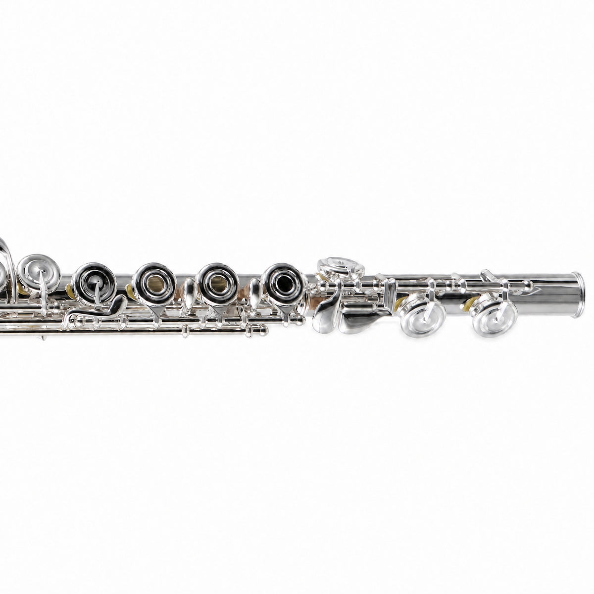 William S. Haynes AF482-CO 'Amadeus' Student Concert Flute in Silver Plate