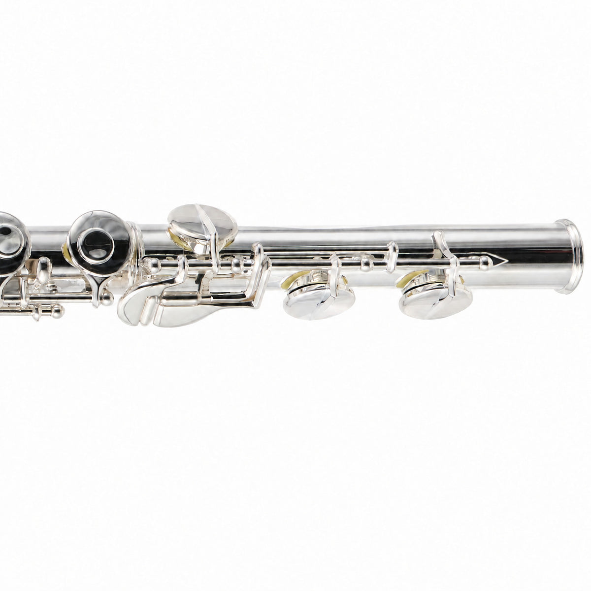 William S. Haynes AF670-C 'Amadeus Alto Flute with Sterling Silver Curved Headjoint
