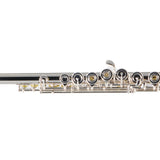 William S. Haynes AF780SE-BO C# 'Amadeus' Solid Silver Flute SN 2405197 OPEN BOX