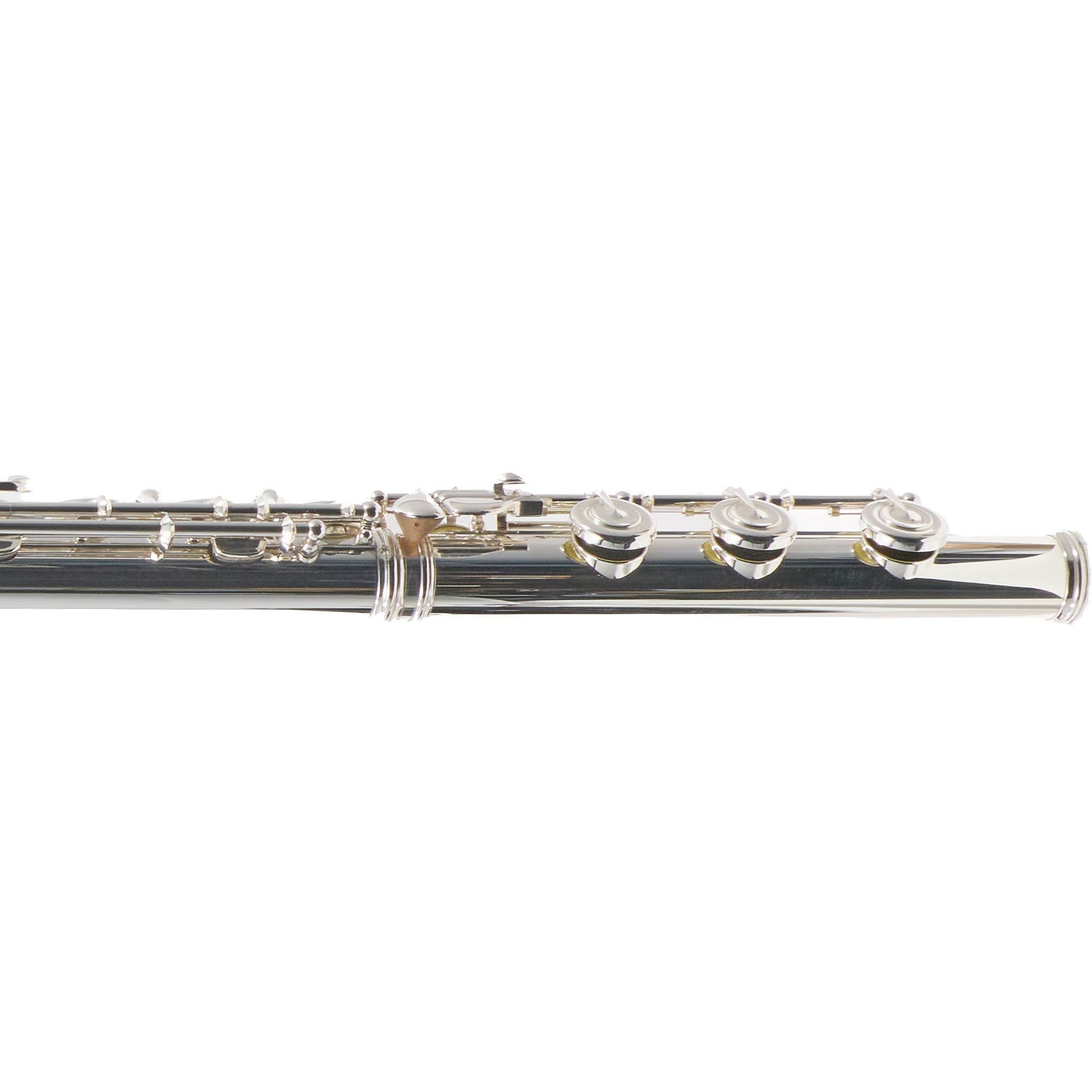 William S. Haynes Handmade 5% Gold Custom Flute with B Foot, Offset G, C# Trill Key