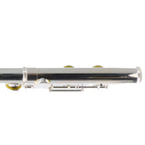 William S. Haynes Model AF570-CS 'Amadeus' Alto Flute SN B2200394