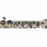 William S. Haynes Model AF680-BO 'Amadeus' Flute SN B2401667 OPEN BOX