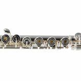 William S. Haynes Model AF680-BO 'Amadeus' Flute SN B2401667 OPEN BOX