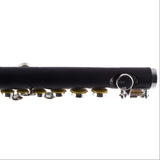 William S. Haynes Model AP86T 'Amadeus' Grenadilla Piccolo SN A1536