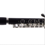 William S. Haynes Model AP86W 'Amadeus' Grenadilla Piccolo SN A1612