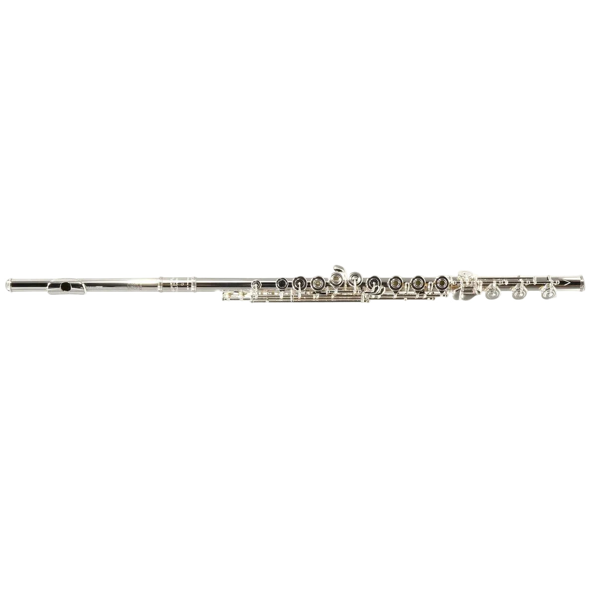 William S. Haynes Model Q2 OC#B AGR Flute - Open Hole/ Offset G/ B Foot