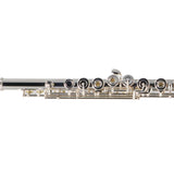 William S. Haynes Model Q2 OC#B AGR Professional Flute SN 100831 OPEN BOX