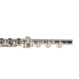 William S. Haynes Model Q2 OC#B AGR Professional Flute SN 100831 OPEN BOX