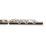 William S. Haynes Model Q2 OEC#B AGR Professional Flute SN 100871 OPEN BOX