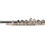 William S. Haynes Model Q2 OEC#B AGR Professional Flute SN 100871 OPEN BOX