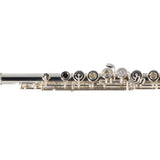William S. Haynes Model Q2 OEC#B AGR Professional Flute SN 100871 OPEN BOX