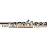 William S. Haynes Model Q2 OEC#B AGR Professional Flute SN 100881 OPEN BOX