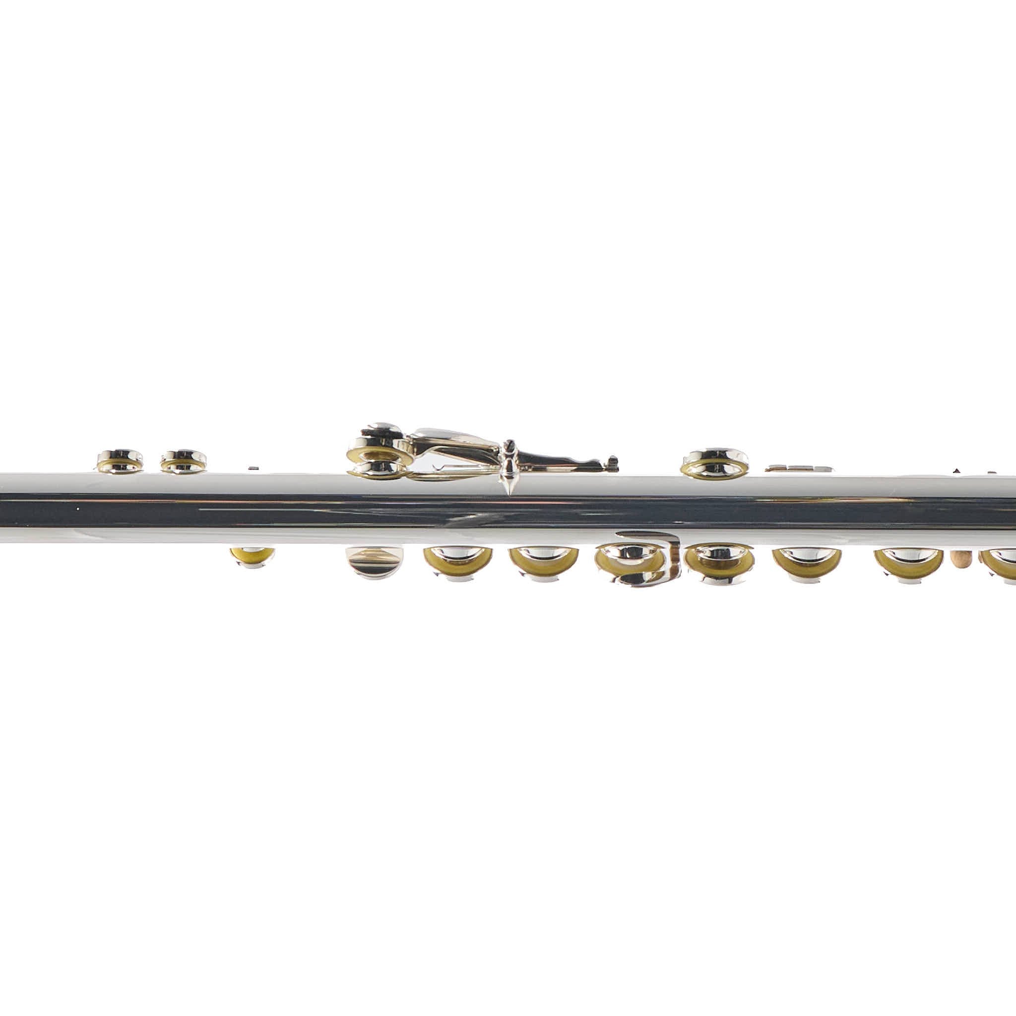 William S. Haynes Q2 Professional Solid Silver Flute with Classic Headjoint